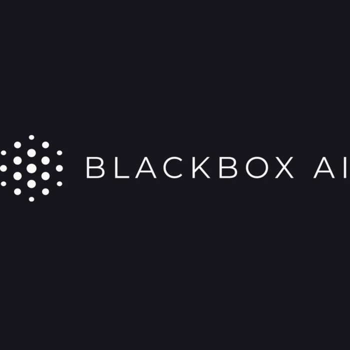 Tantangan dan peluang pengembangan Blackbox AI