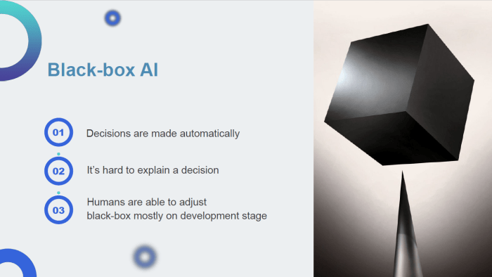 Tantangan dan peluang pengembangan Blackbox AI