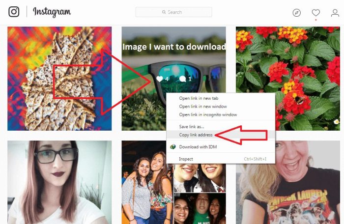 Download foto Instagram tanpa perlu instal aplikasi