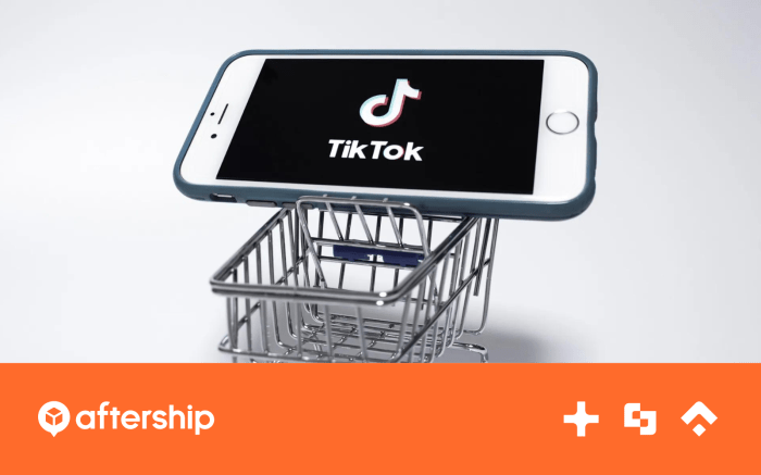 Amankah Beli Koin TikTok di Marketplace Online?