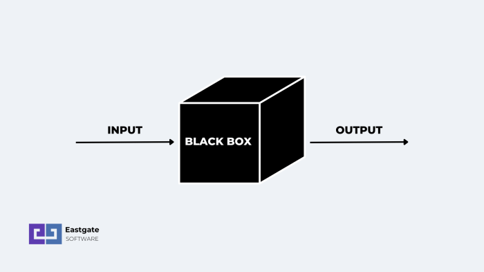 Blackbox investopedia definition bang