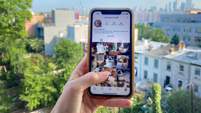 Instagram now lets data petapixel