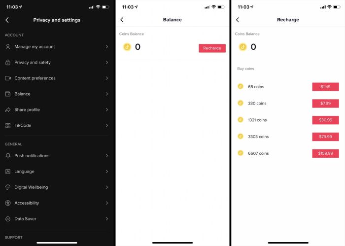 Cara Mudah Cek Saldo Koin TikTok Setelah Pembelian